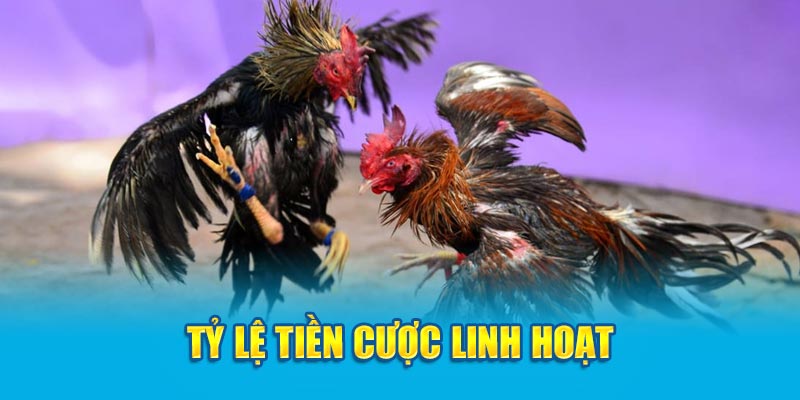 Tỷ lệ tiền cược linh hoạt 